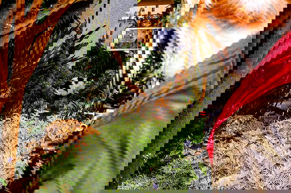 alisa.paigin alisa.paigin archive image