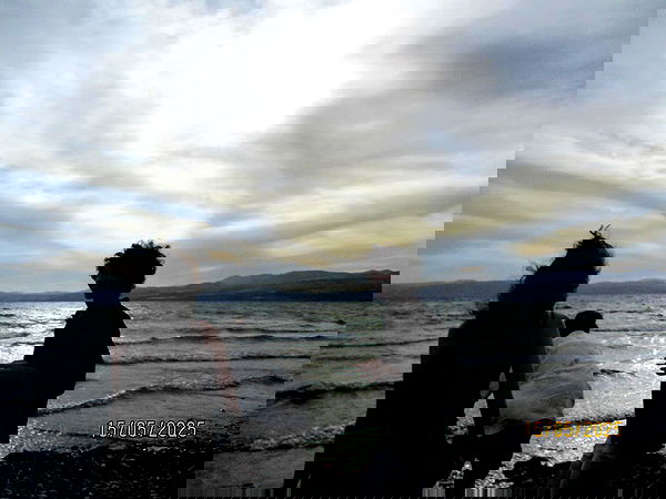 alisa.paigin alisa.paigin archive image