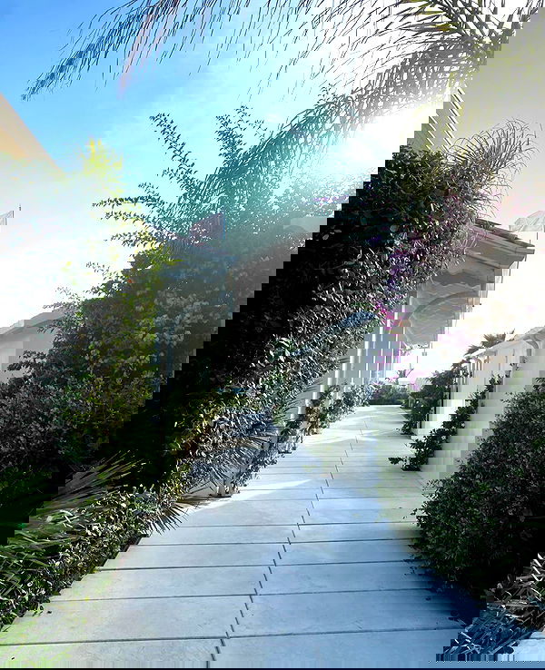 alisa.paigin alisa.paigin archive image