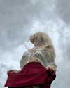 alisatvoya Altpins Profile Picture