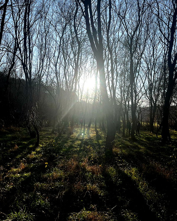 alishenyka instagram image archive image