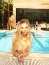 alishenyka Altpins Profile Picture