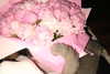alishenyka Altpins Profile Picture