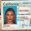 alissaviolet Altpins Profile Picture