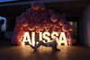 alissaviolet Altpins Profile Picture