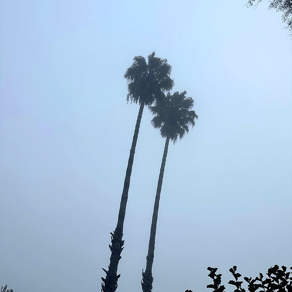 alissaviolet instagram image archive image