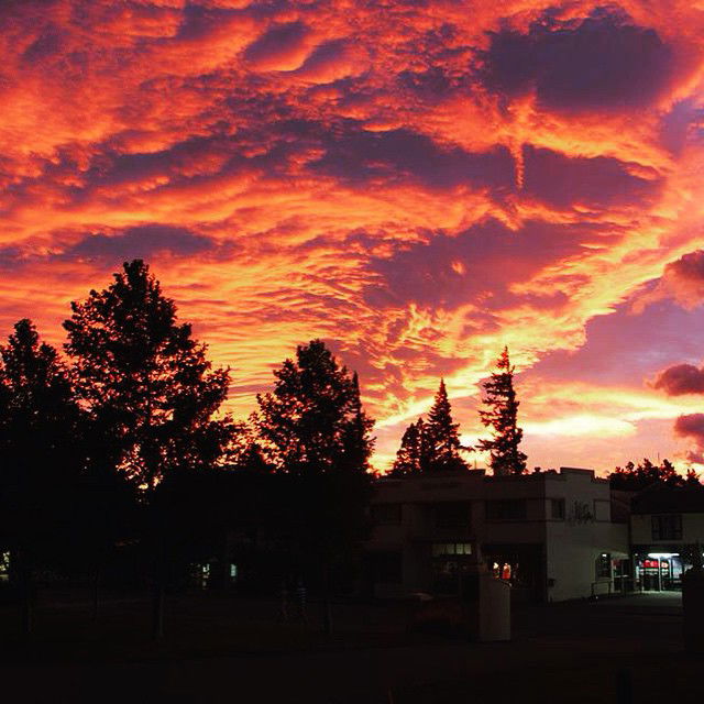 allygravemade instagram image archive image