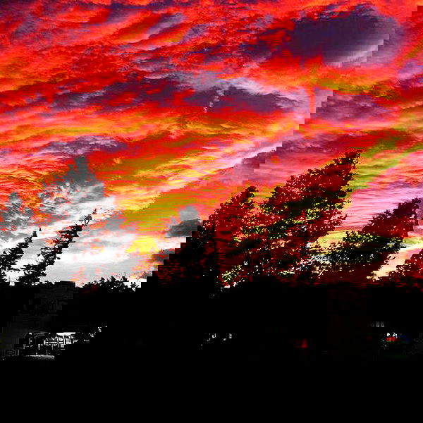 allygravemade image ~ Altpins