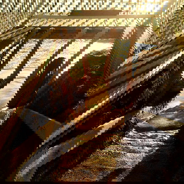 allygravemade image ~ Altpins