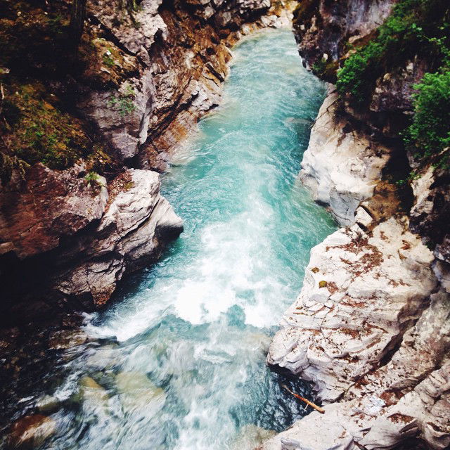 allygravemade instagram image archive image