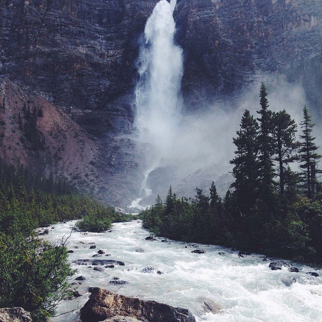 allygravemade instagram image archive image