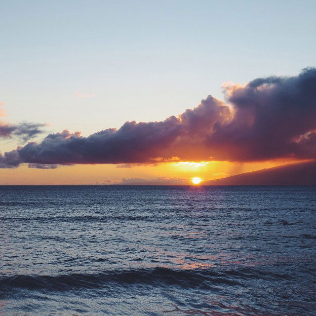 allygravemade instagram image archive image