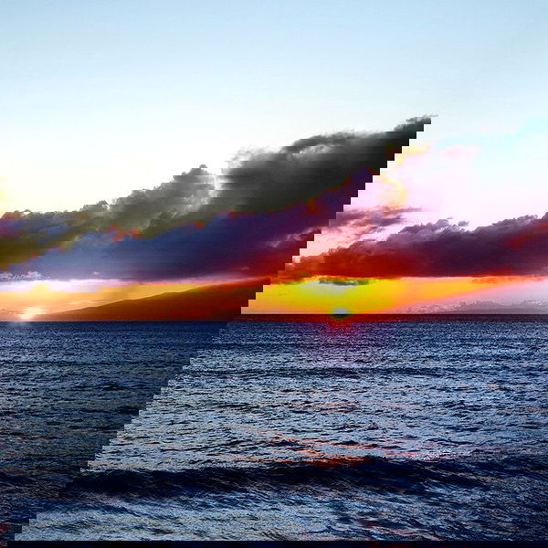 allygravemade image ~ Altpins