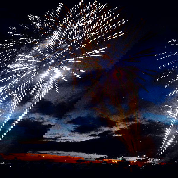 allygravemade image ~ Altpins