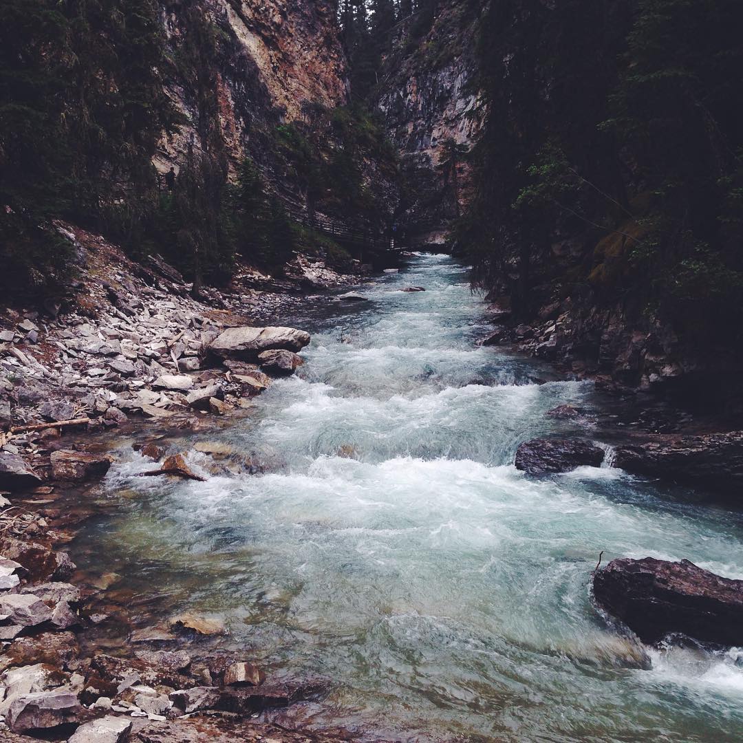 allygravemade instagram image archive image