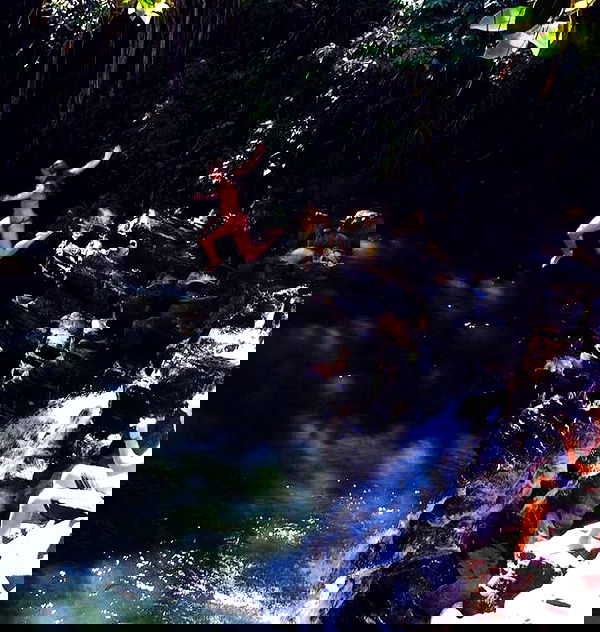 allygravemade image ~ Altpins