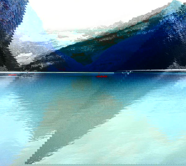 allygravemade image ~ Altpins