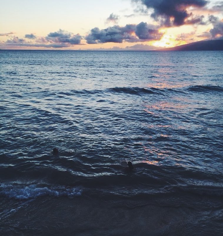 allygravemade instagram image archive image