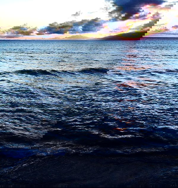 allygravemade image ~ Altpins