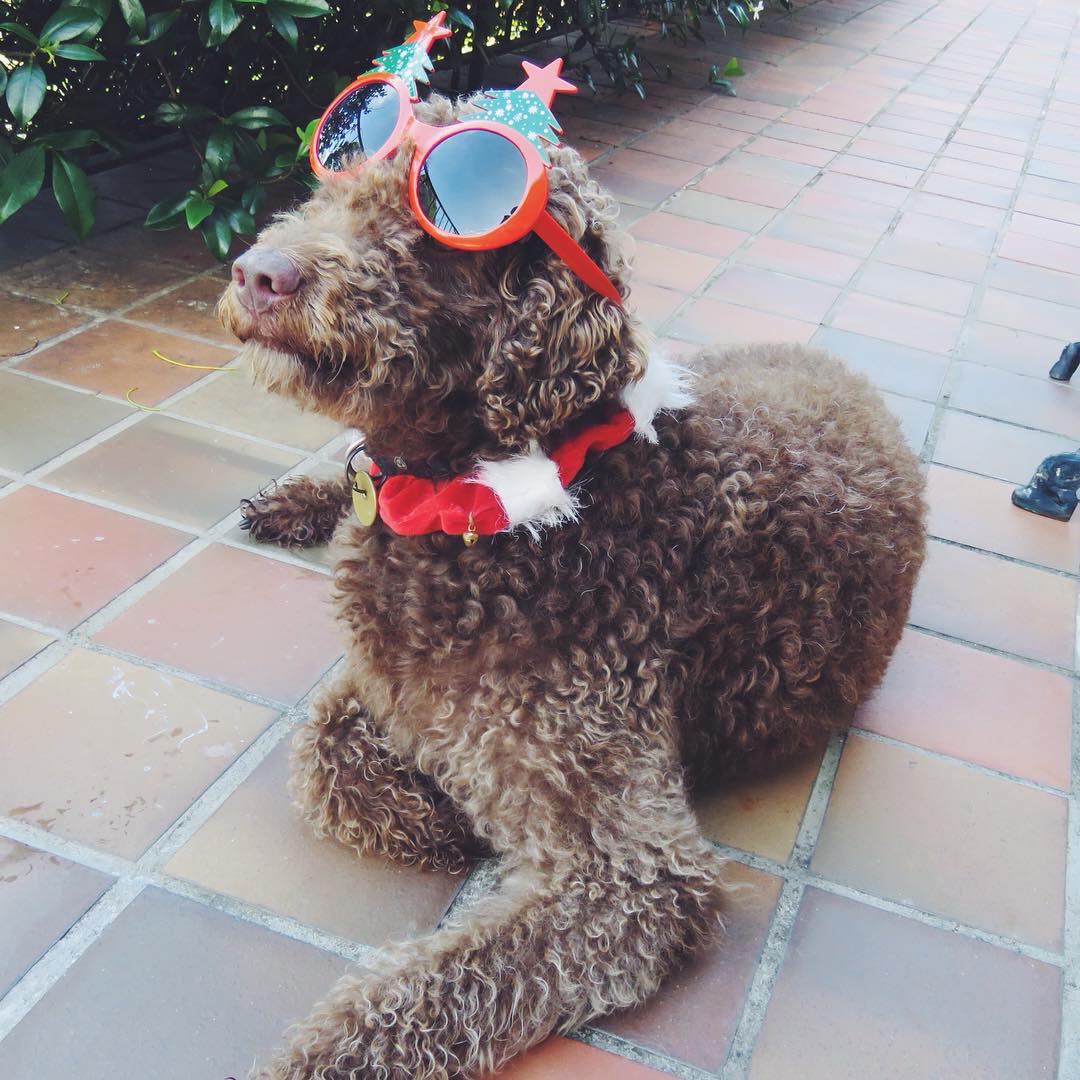 allygravemade instagram image archive image