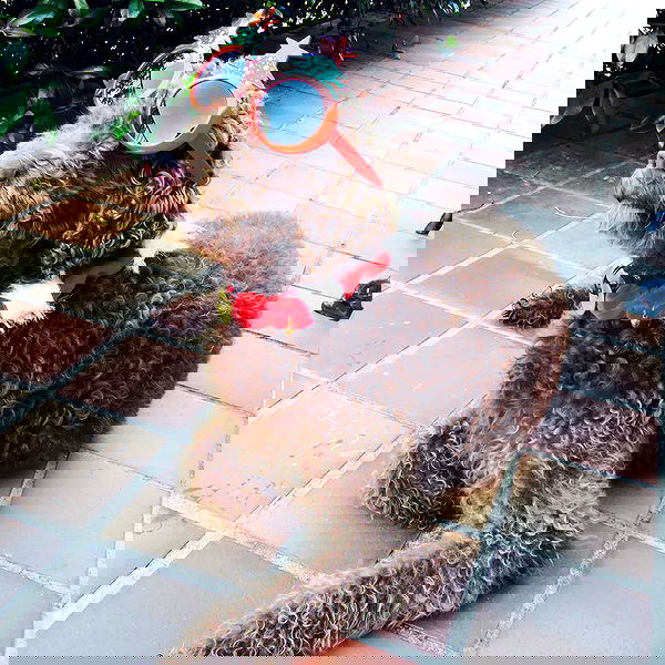 allygravemade image ~ Altpins