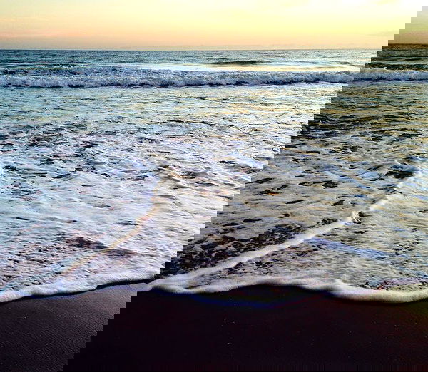 allygravemade image ~ Altpins