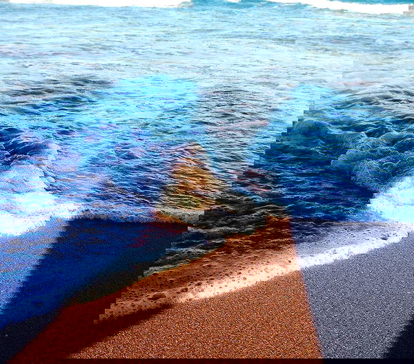 allygravemade image ~ Altpins