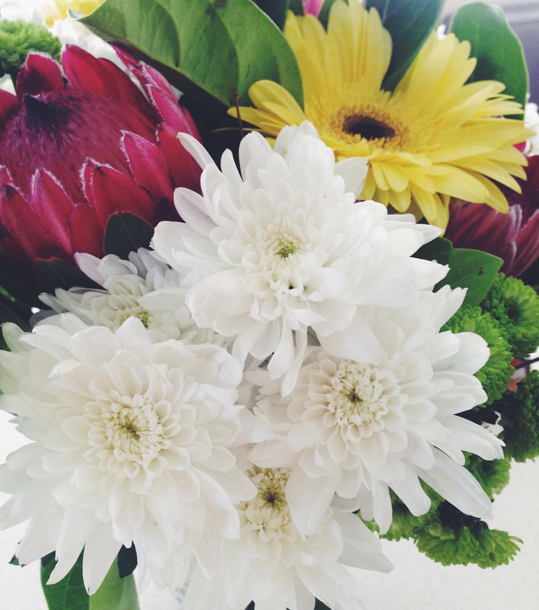 allygravemade instagram image archive image