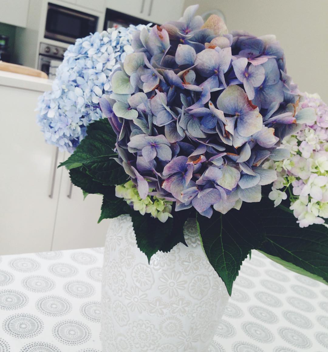 allygravemade instagram image archive image