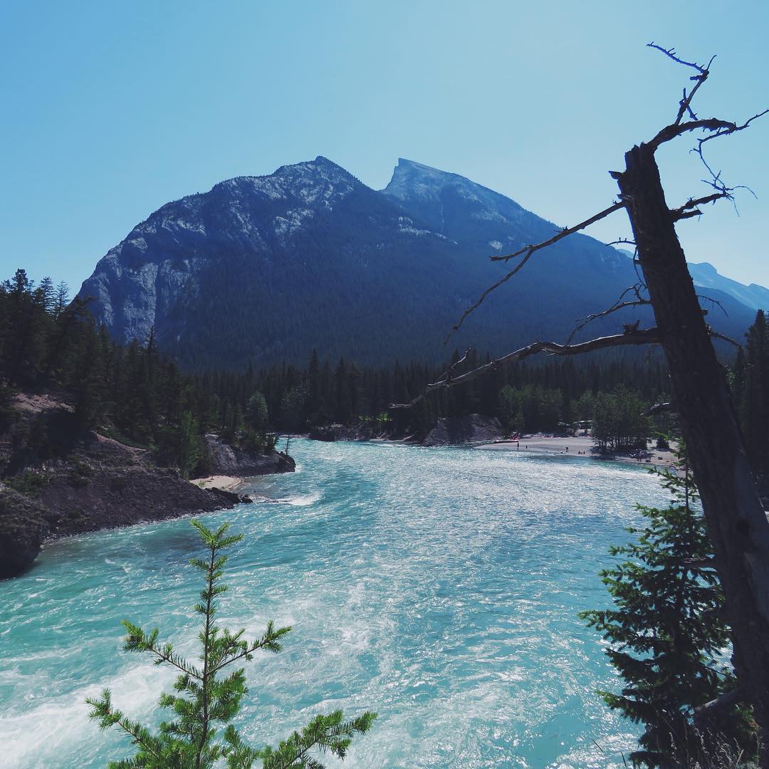 allygravemade instagram image archive image