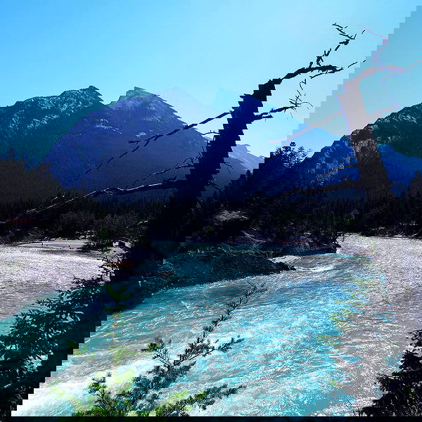 allygravemade image ~ Altpins