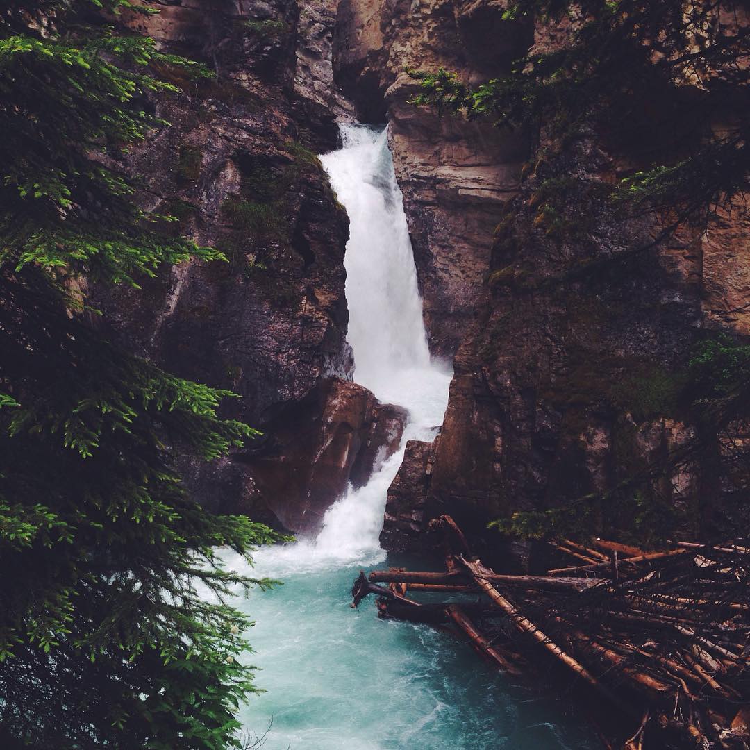 allygravemade instagram image archive image