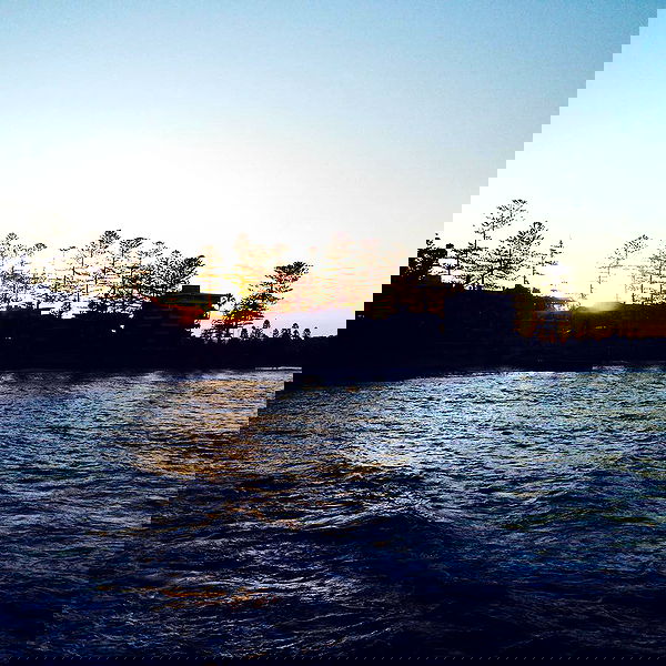 allygravemade image ~ Altpins