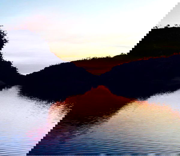 allygravemade image ~ Altpins