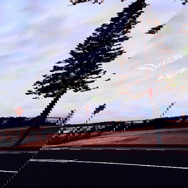 allygravemade image ~ Altpins