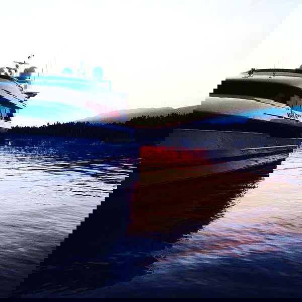 allygravemade image ~ Altpins