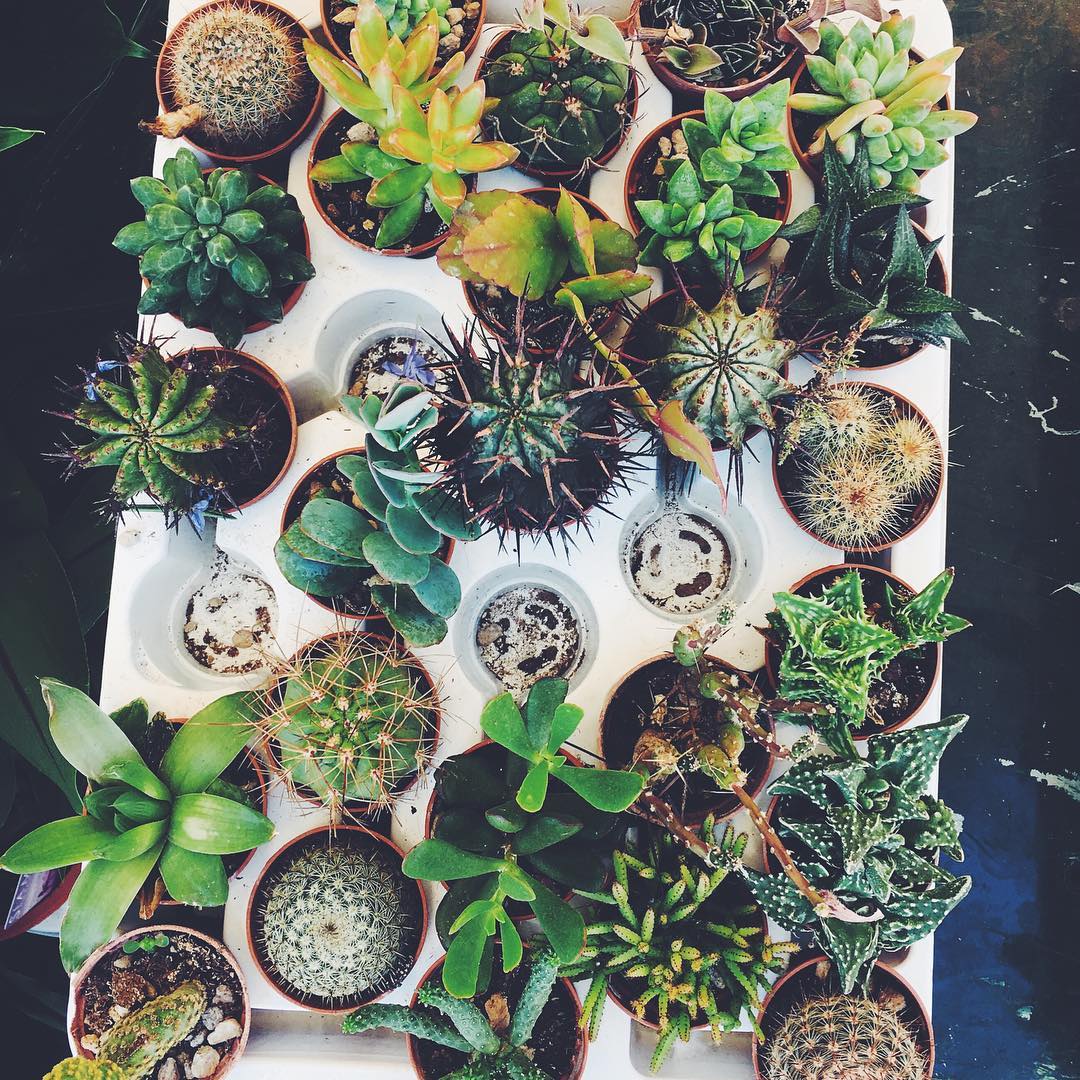 allygravemade instagram image archive image