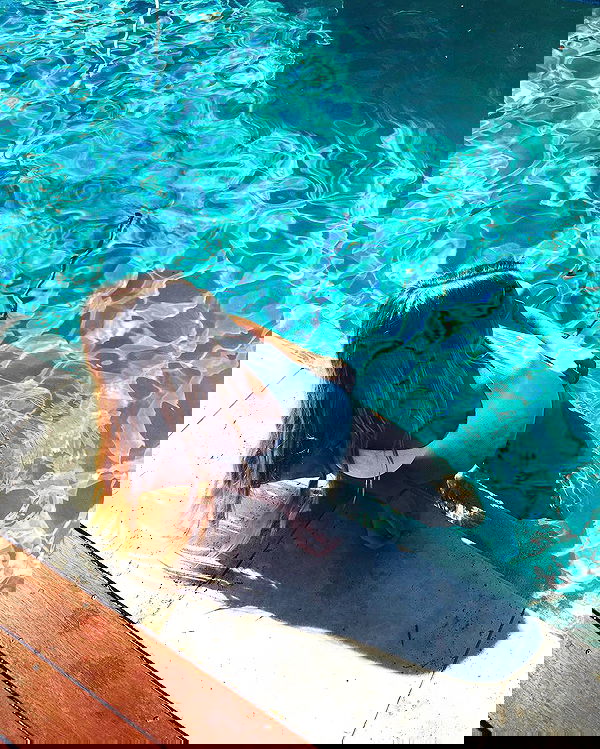 allygravemade image ~ Altpins