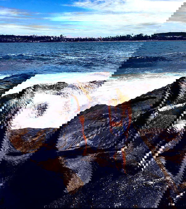 allygravemade image ~ Altpins