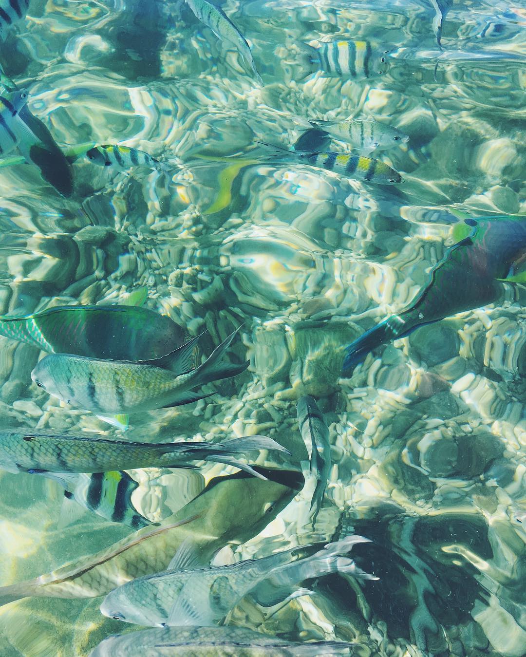 allygravemade instagram image archive image