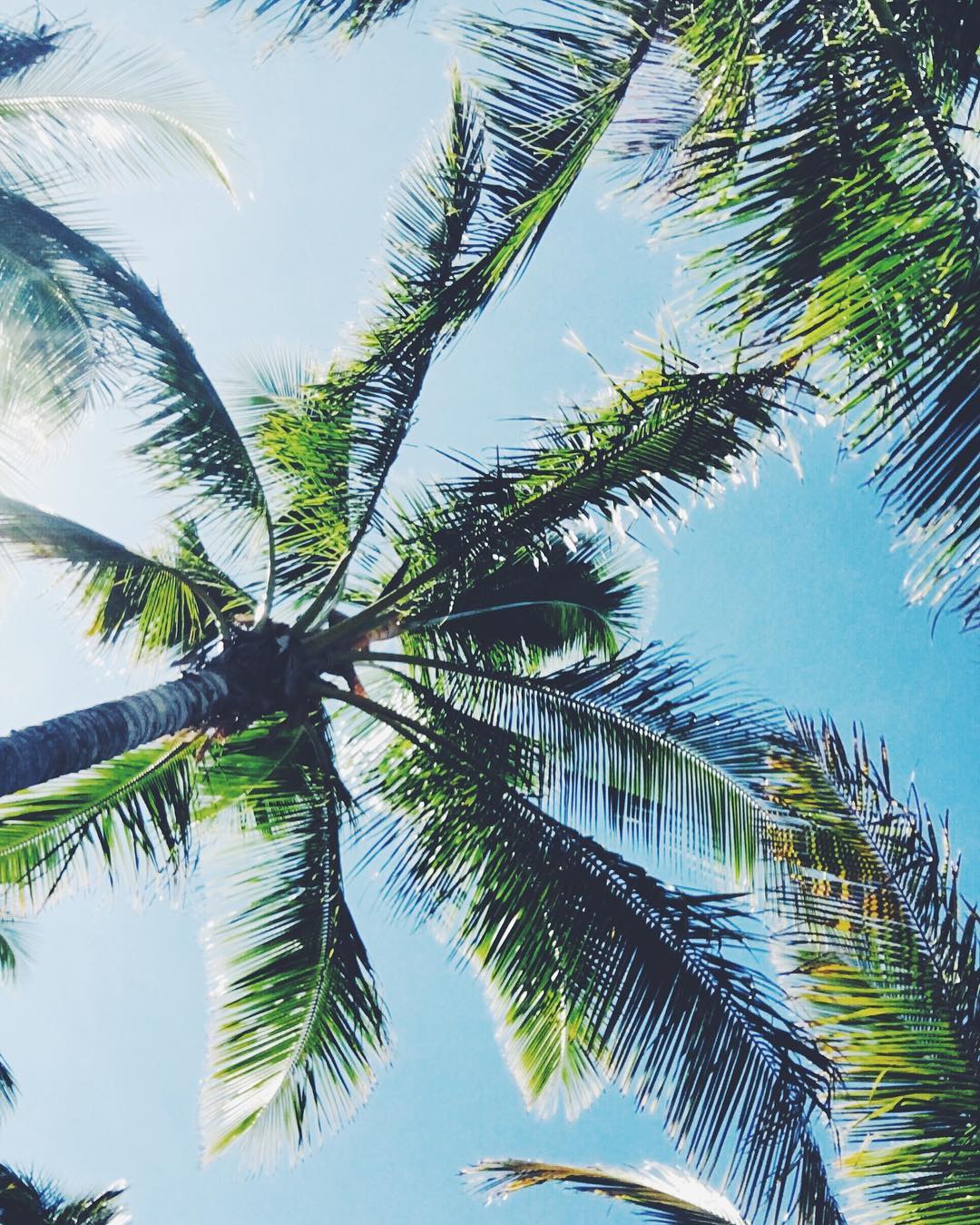 allygravemade instagram image archive image