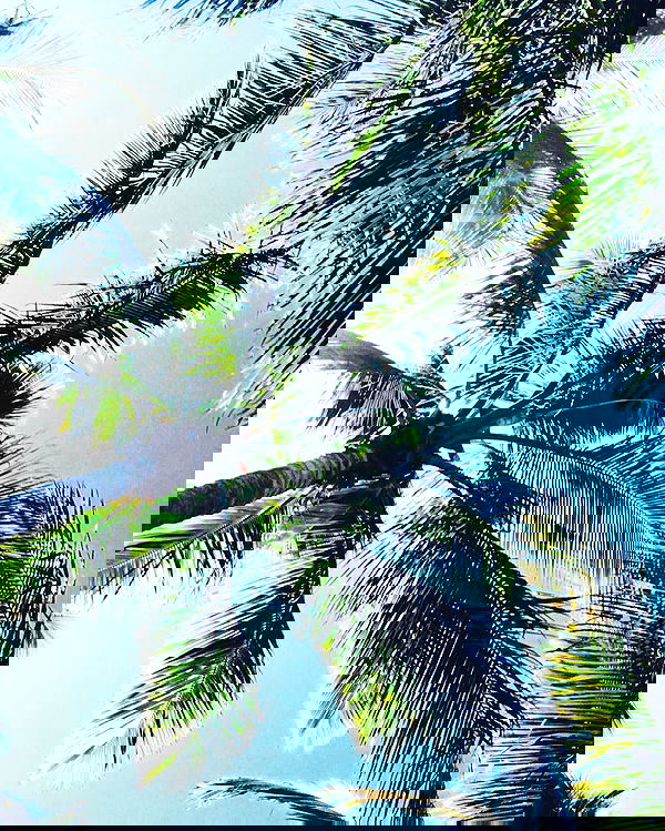 allygravemade image ~ Altpins