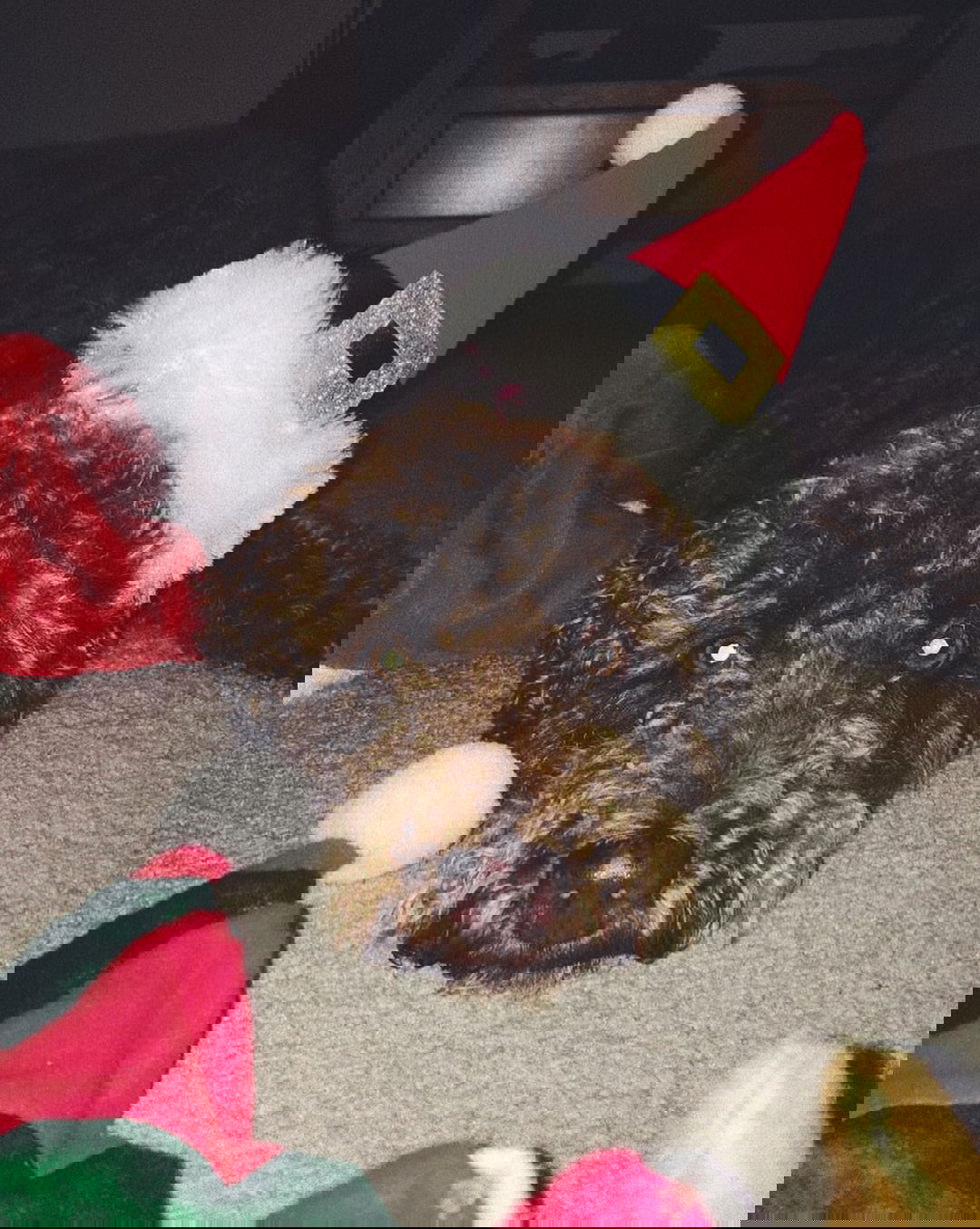 allygravemade instagram image archive image