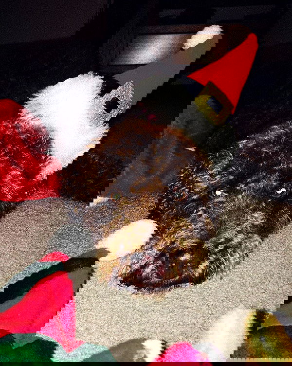 allygravemade image ~ Altpins