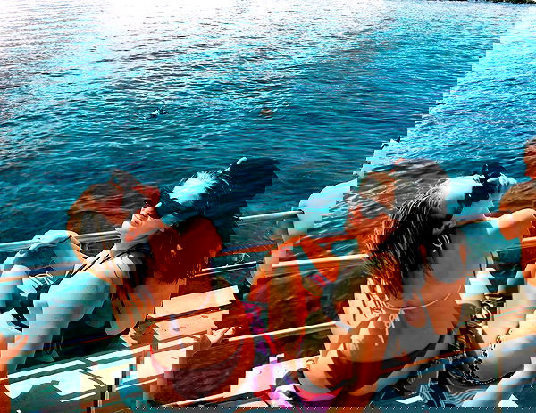 allygravemade image ~ Altpins