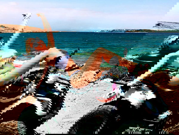 allygravemade image ~ Altpins