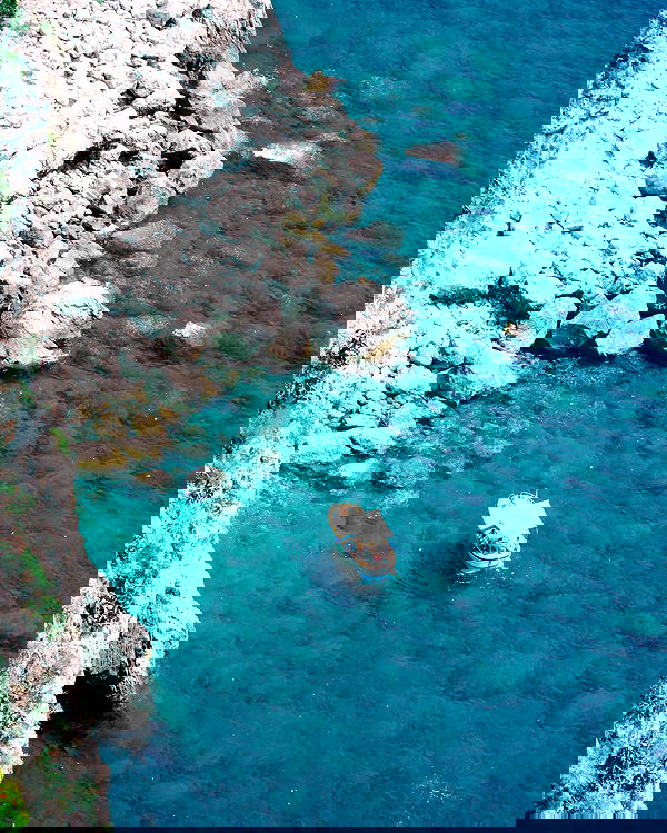 allygravemade image ~ Altpins