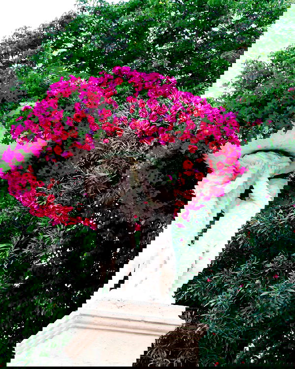 allygravemade image ~ Altpins