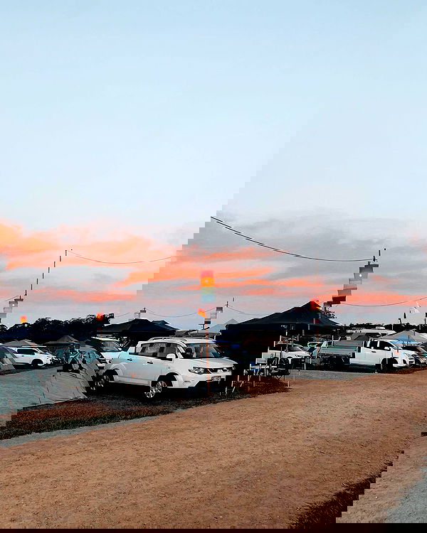 allygravemade image ~ Altpins