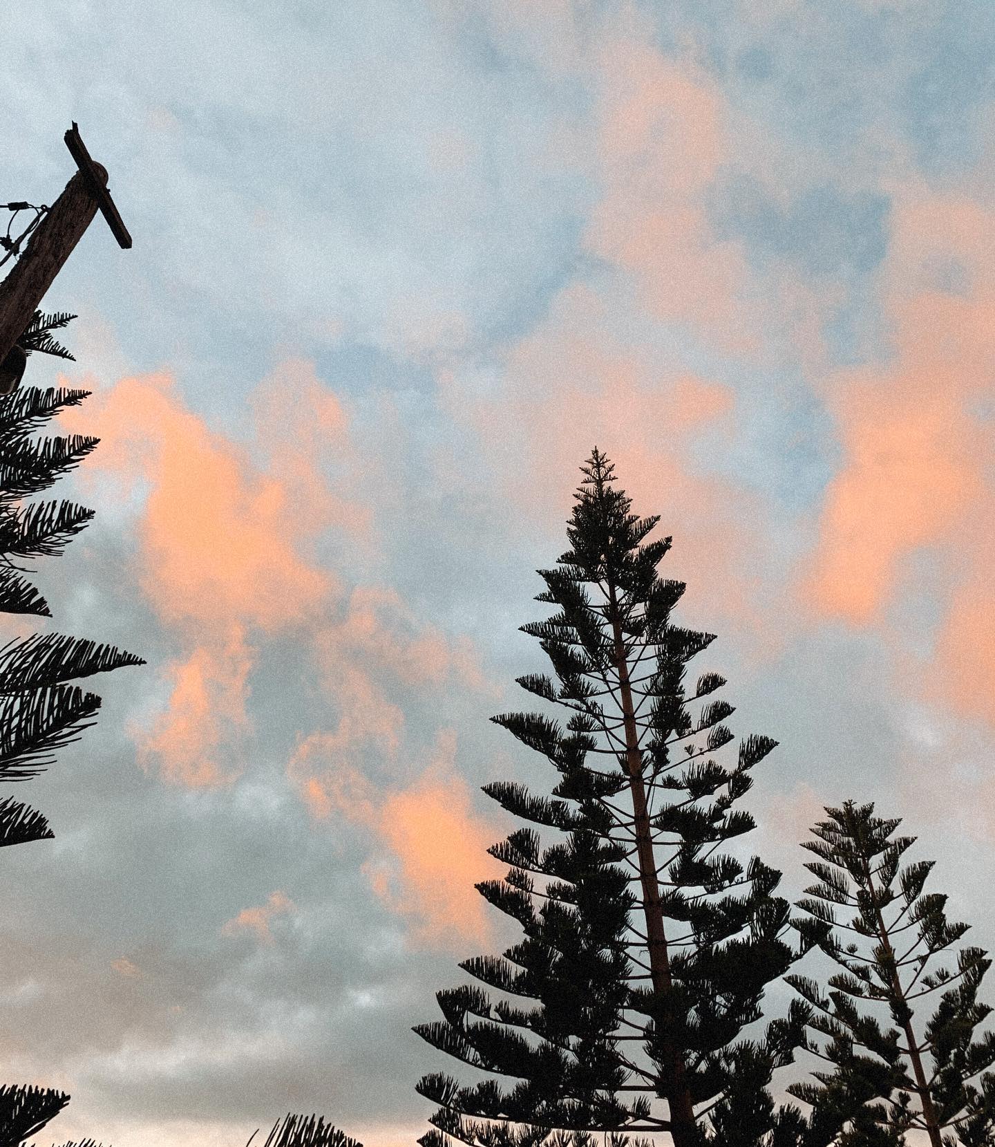 allygravemade instagram image archive image